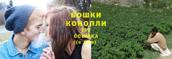 Альфа ПВП Бородино