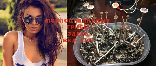 MDMA Premium VHQ Бронницы