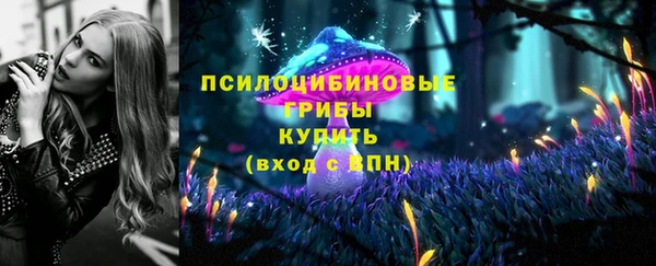 MDMA Premium VHQ Бронницы