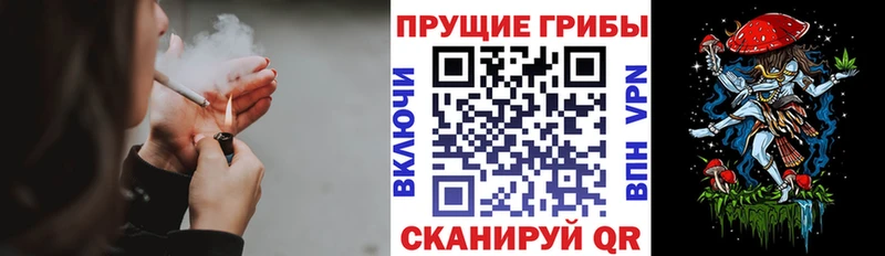 Купить закладки  Сухиничи  Галлюциногенные грибы Cubensis 